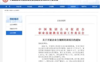 域名与备案号，网站建设的基石与合规之路