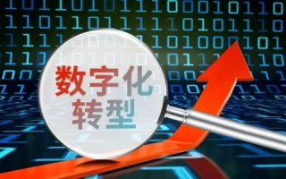 九州数码，稳健前行，数字化转型的领航者