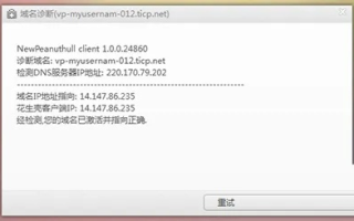 域名与IP地址，解锁Serv-U与花生壳的免费域名使用指南