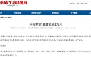 如何隐藏真实域名，保护隐私与增强安全性的策略