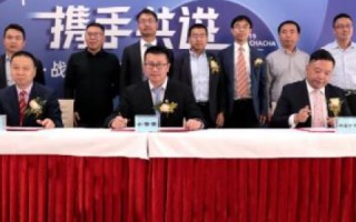 中国数网，网络经济时代下的数字资源整合与创新