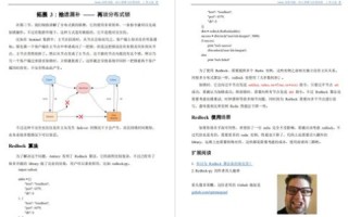 dz动力实际应用案例解析，从理论到实践的深度探索