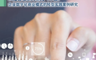 思鉴科技，创新助力企业数字化转型的实战案例探究