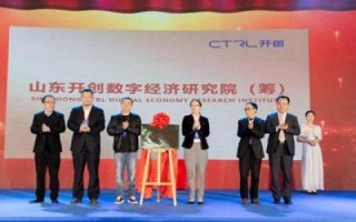 世纪网络的兴起与挑战，重塑数字时代的沟通与互动