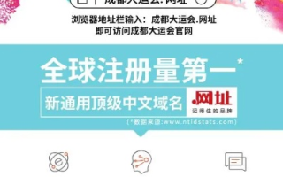 京广中国域名申请全攻略，从入门到精通