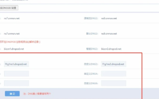 急在新网注册域名后，如何选择DNS服务器？