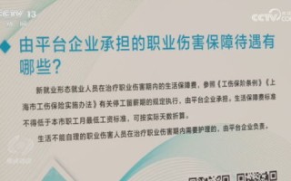 中国诚网怎么样？一次深度探索与评估