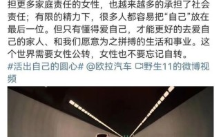 COJP，探索域名背后的意义与起源