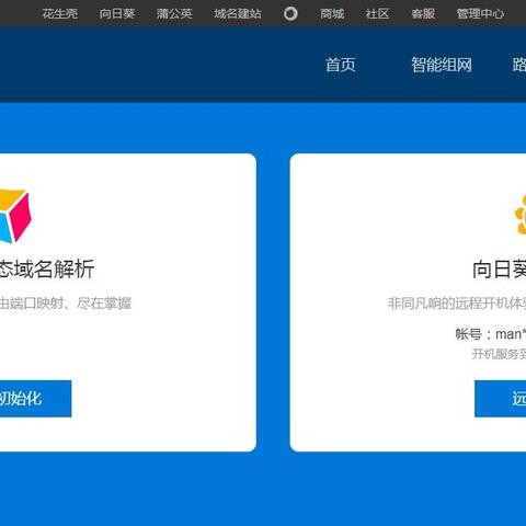 绑定域名与固定IP，打造专业网站的必备步骤