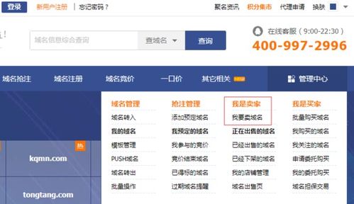 万网域名管理平台，高效管理域名的数字化工具与注意事项