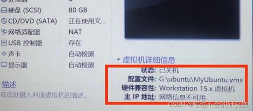 中文域名链接超时，解析与应对策略