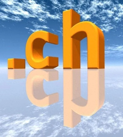 在域名地址www.rkbgov.cn中，CN属于顶级域名，揭示中国网络发展的独特地位