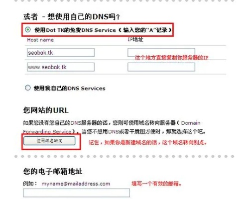TK域名申请后，如何高效利用与管理的全面指南