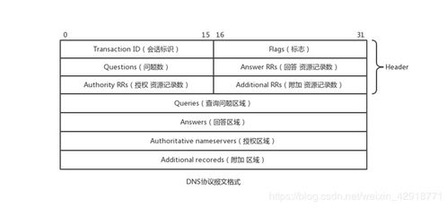 TCP协议与域名解析，从DNS到数据传输的奥秘