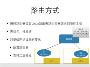 美国虚拟主机HostEase质量深度解析，性能、稳定性与用户体验的全方位考量