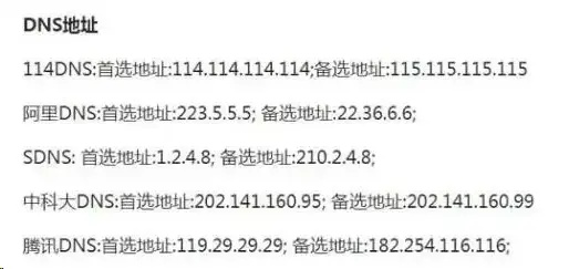如何查看DNS域名的全称，详细步骤与工具介绍