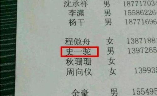 网站域名与中文名称不同音，对推广策略的影响及应对策略