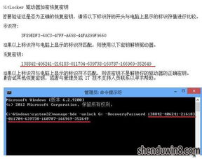域名过期后注册局锁定是否有效，法律与实务的探讨