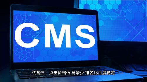 域名、WWW、COM与建站梦想，打造理想网站的命名艺术
