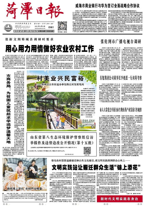 如何选择企业建站时的域名，策略与最佳实践