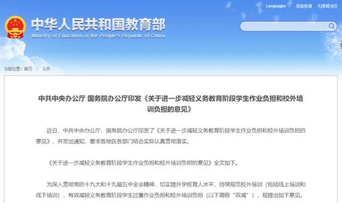 域名申请后如何投入使用，全面指南