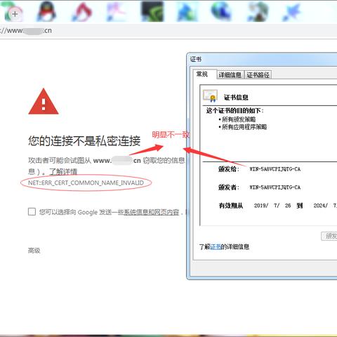 为什么我在IE地址栏输入网站域名的IP会进入不了？