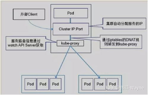 从IP地址到域名，互联网寻址的演变与解析