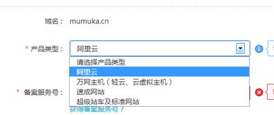 请教如何转让域名？问问啊