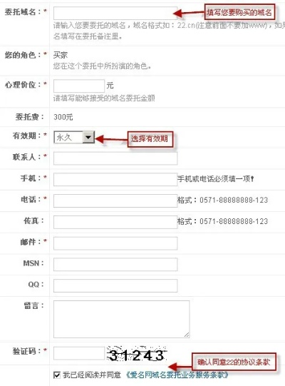 什么是域名？如何购买和使用？