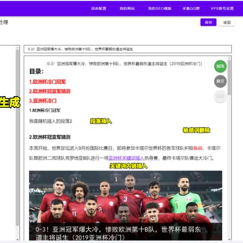 探索我的点点网绑定独立域名挑战，内容量不足背后的深层原因与解决方案