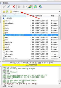 探索经济实惠的域名与虚拟主机注册平台，除中国万网外的选择