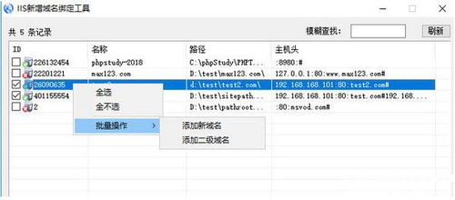 二级域名绑定子目录后网页结构不见了是怎么回事