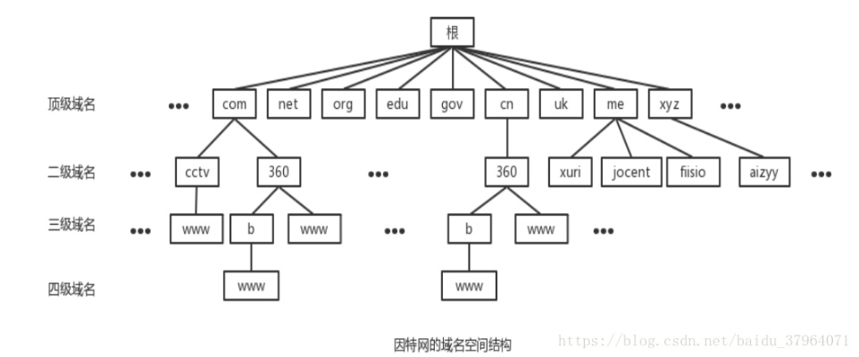单选题因特网中域名解析依赖于一棵由域名服务器组成的逻辑树