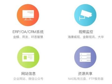 比例服务器租用，高效资源利用与成本控制的智慧选择