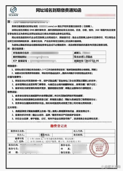 网站域名费怎样缴纳，全面指南与最佳实践
