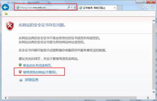 解析浏览器兼容性问题，为何我的网站在特定浏览器中无法访问，而其它浏览器却能轻松打开，甚至二级域名也受影响