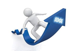如何选择域名有利于优化