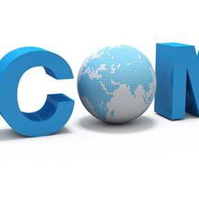 在新网注册的cn个人域名注册时间是今年6月20日，现在状态还是待审核