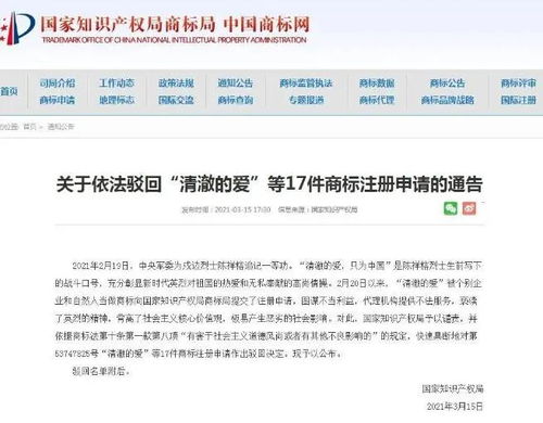 如何查看域名的注册所有人信息，深入解析与实用指南