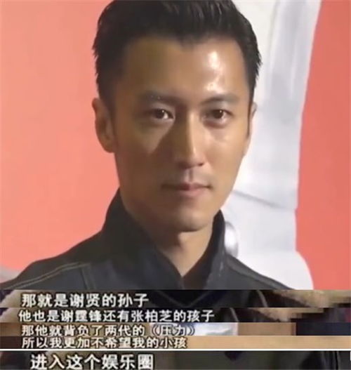 谢霆锋回应儿子域名被廖海龙抢注事件，不希望拍卖，期待面谈以和解域名纠纷