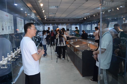 阿里云主机上托管多个网站的实践与优化
