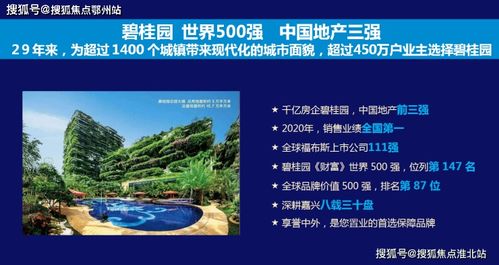 2U服务器托管的价格，全面解析与策略建议