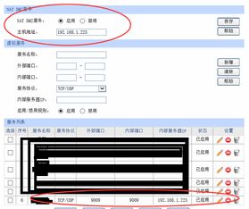 动态域名解析成功但无法访问，排查IIS安装后的访问问题