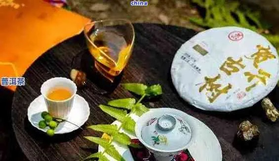茶猫云，探索云端茶文化的奇妙之旅