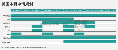 站群服务器为何要选择香港，优势、考量与未来趋势