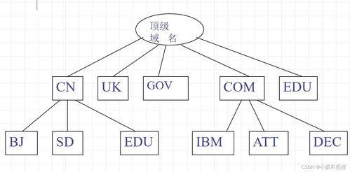 域名系统中EDC的域名表示含义解析