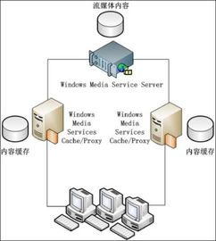 从入门到进阶，在DigitalOcean上搭建并优化高效服务器环境的全面指南
