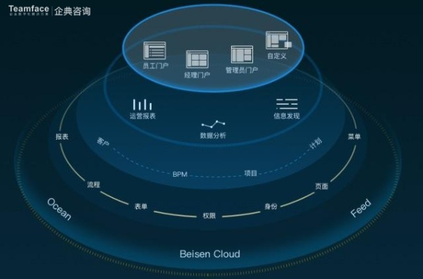 网云数据，重塑数字时代的商业格局与价值创造