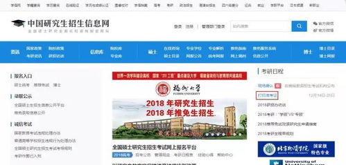 域名转让全解析，从流程到注意事项