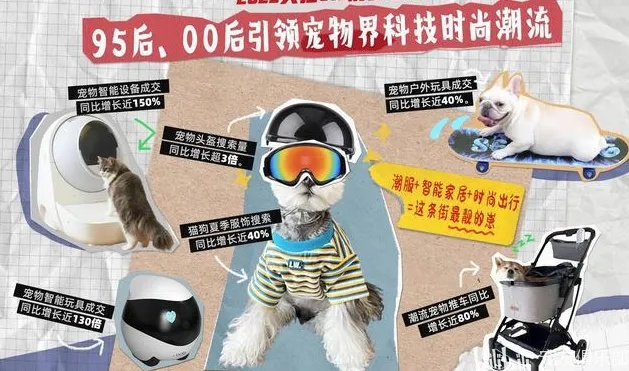 猫云，重构数字时代的宠物养护新生态